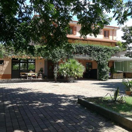 Guesthouse Skofije Ob Parenzani Spodnje Skofije Buitenkant foto