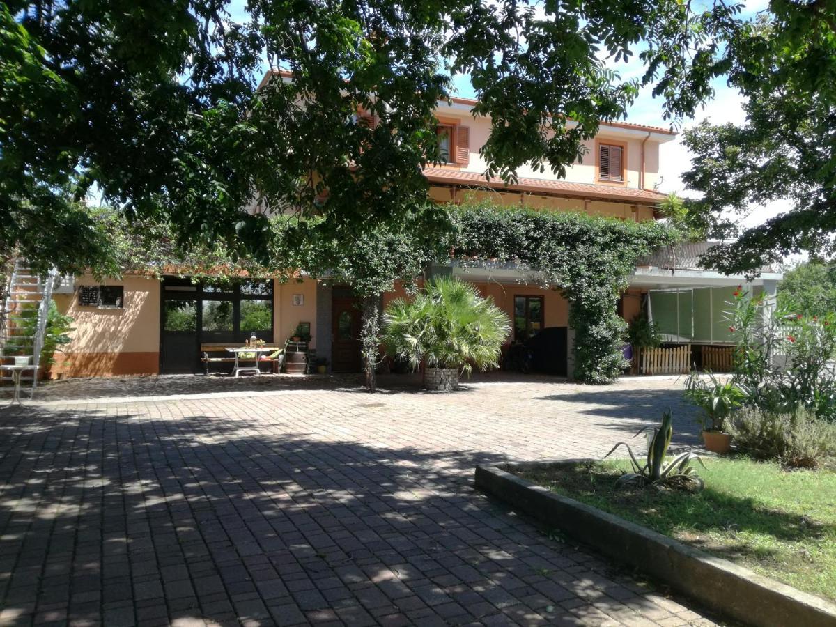 Guesthouse Skofije Ob Parenzani Spodnje Skofije Buitenkant foto