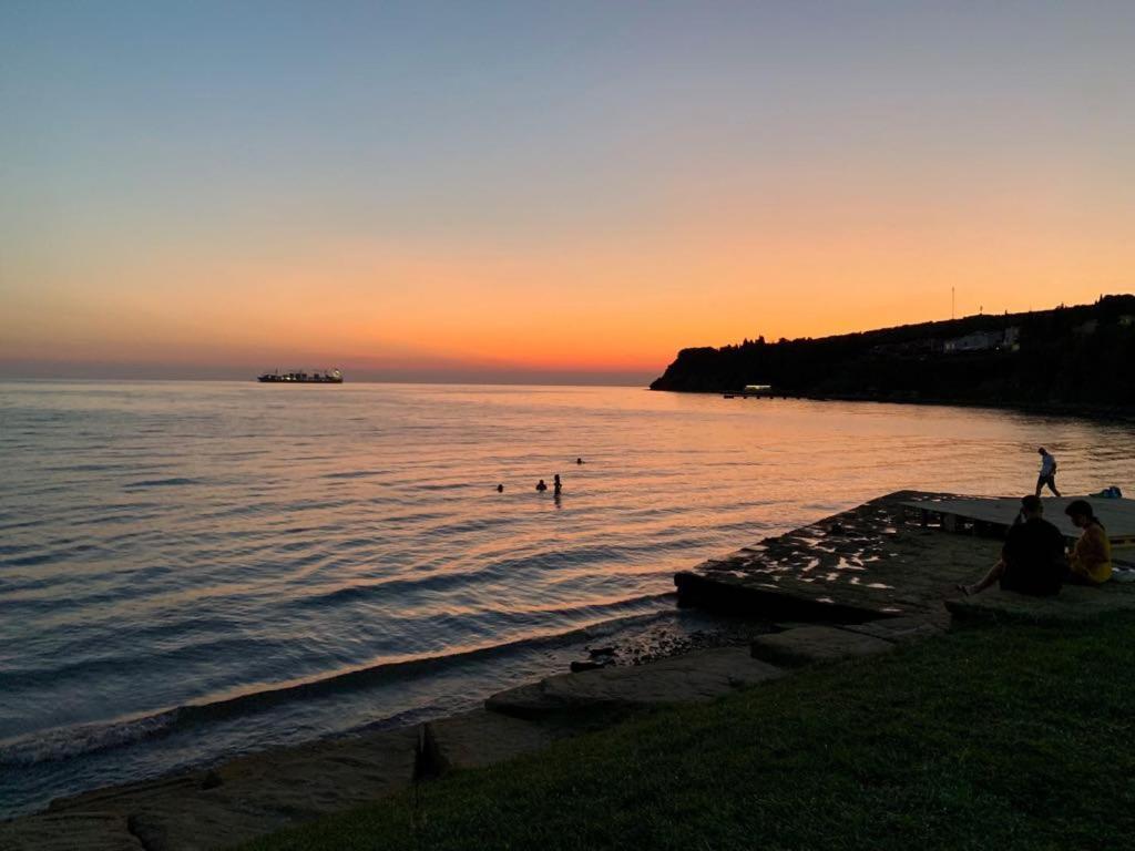 Guesthouse Skofije Ob Parenzani Spodnje Skofije Buitenkant foto